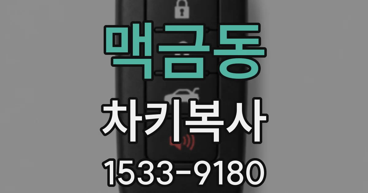 맥금동 차키복사