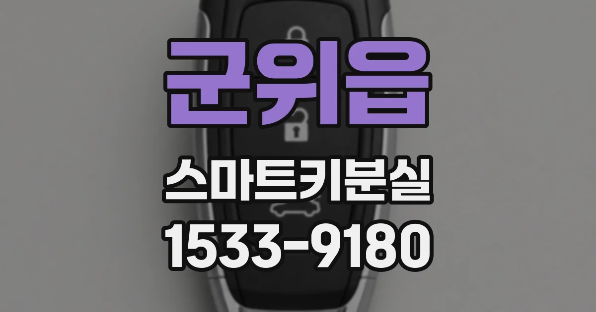 군위읍 스마트키분실