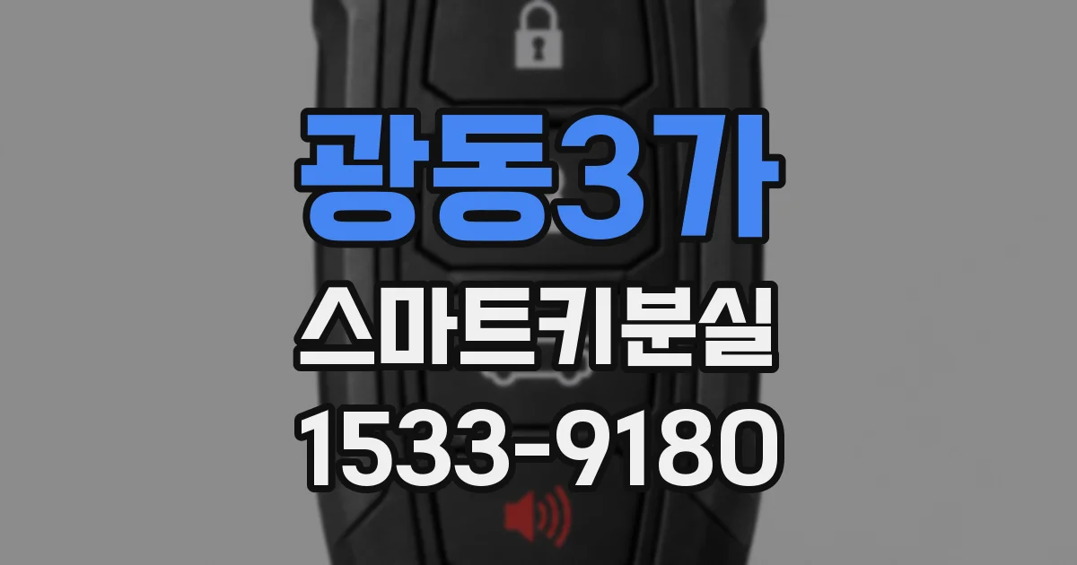 광동3가 스마트키분실