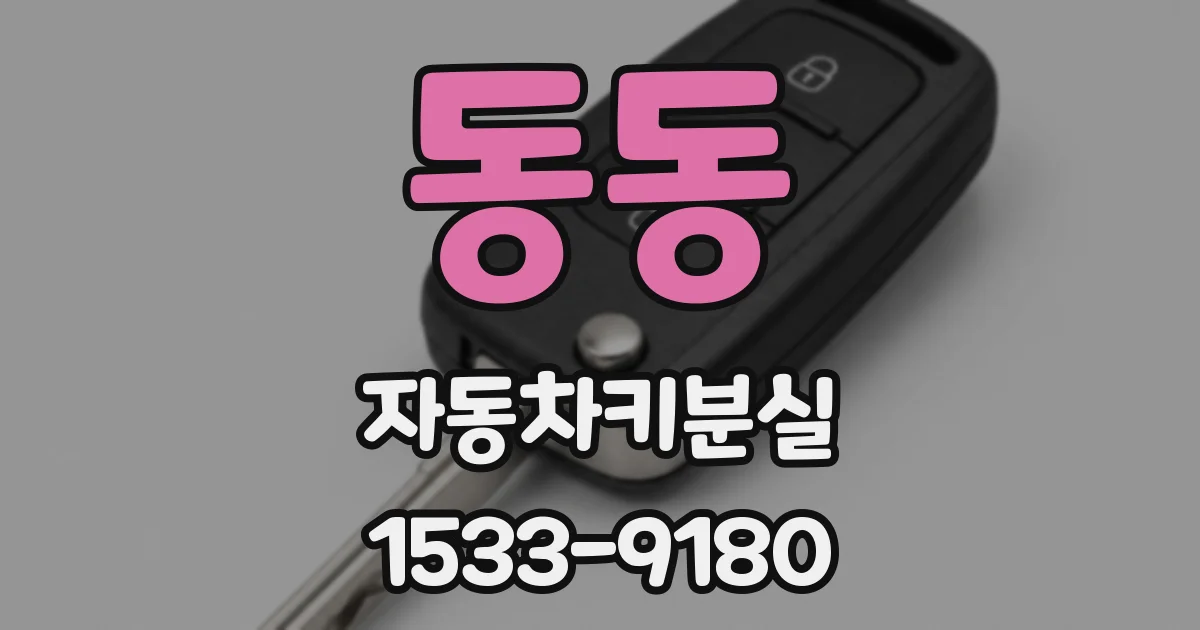 동동 자동차키분실