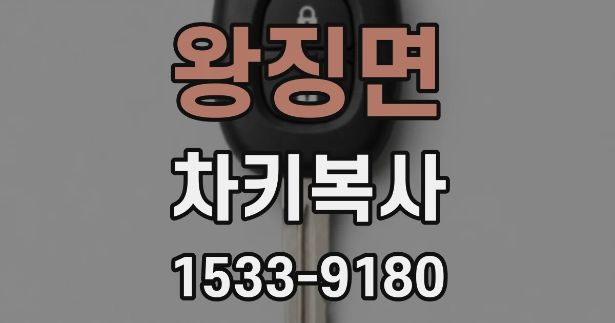 왕징면 차키복사