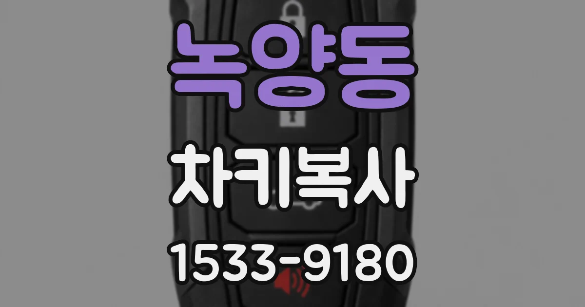 녹양동 차키복사