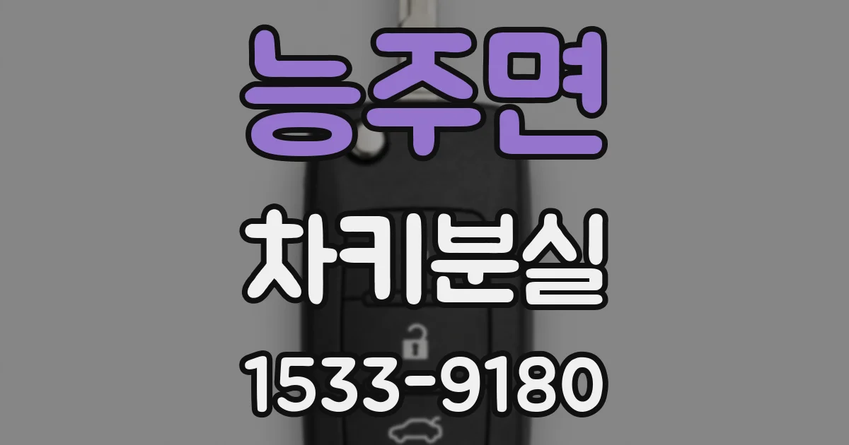 능주면 차키분실