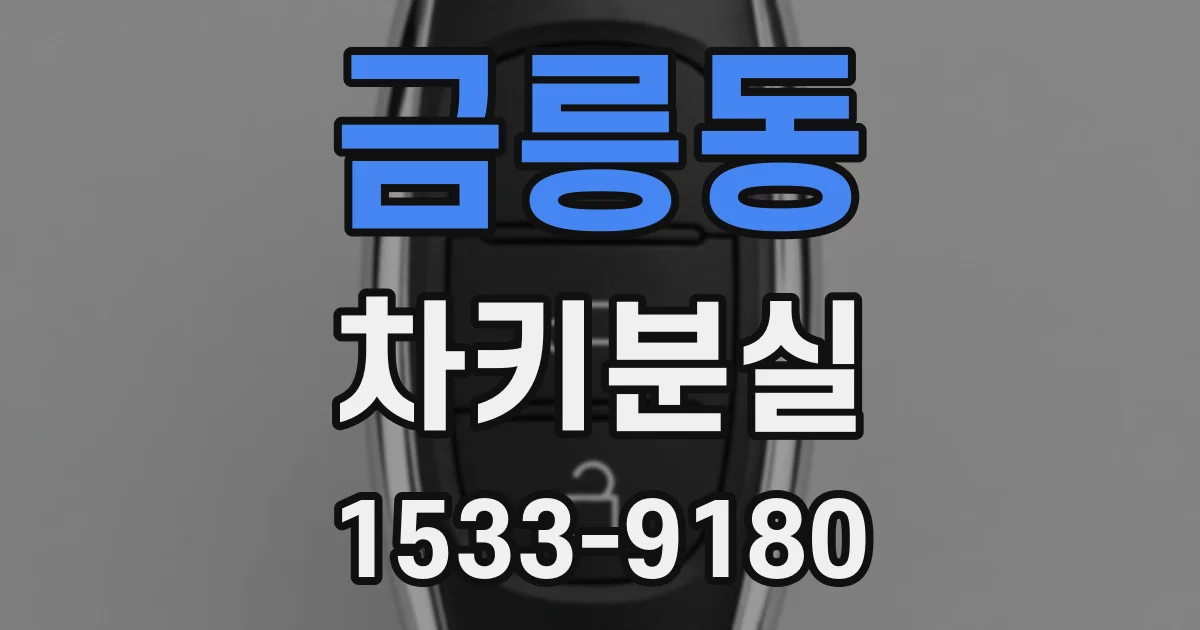 금릉동 차키분실