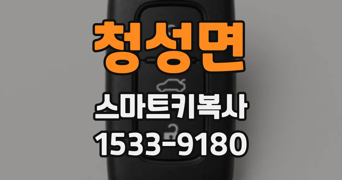 청성면 스마트키복사