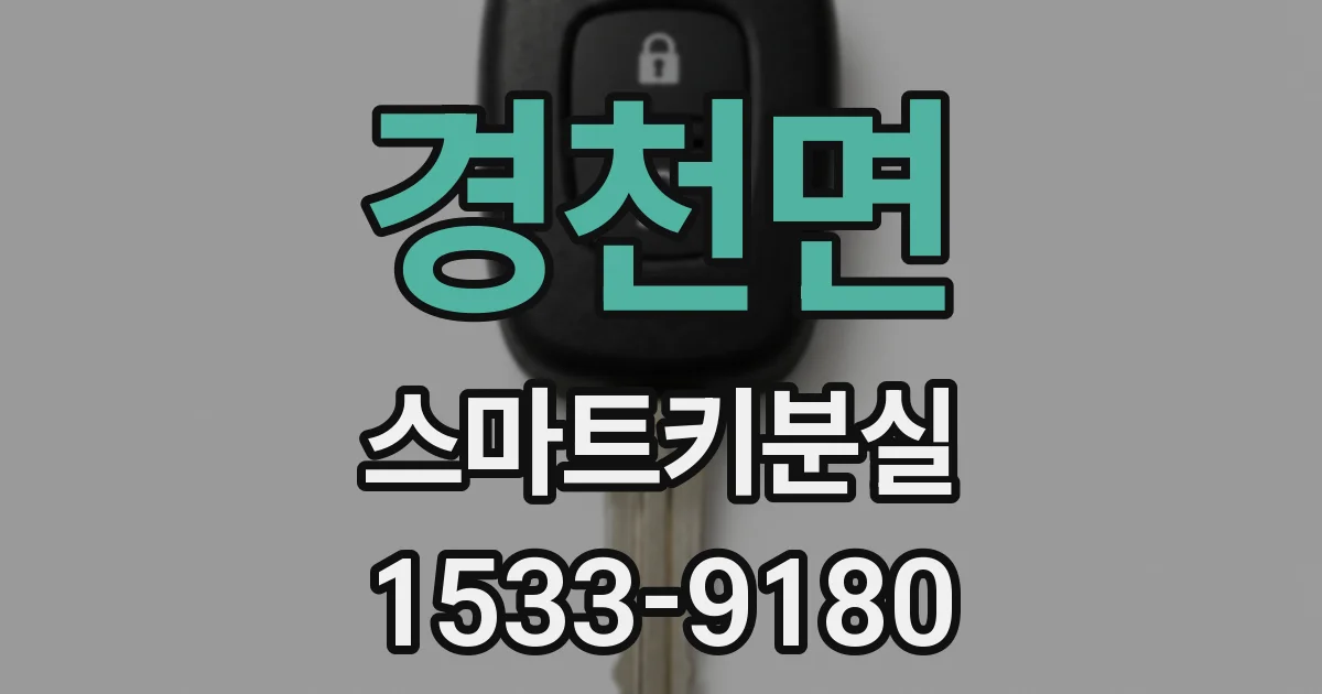 경천면 스마트키분실