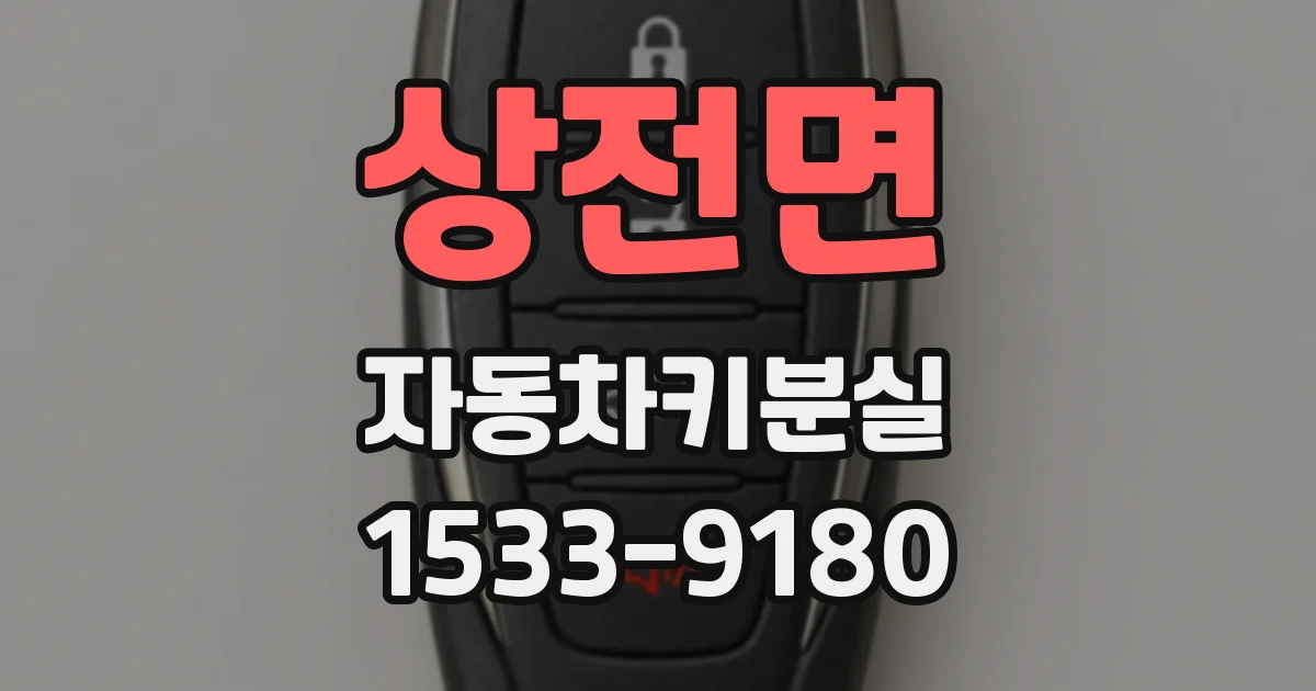 상전면 자동차키분실