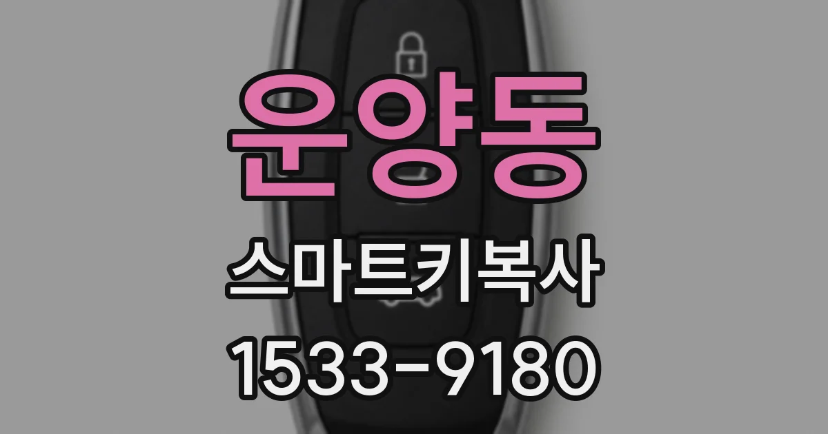 운양동 스마트키복사
