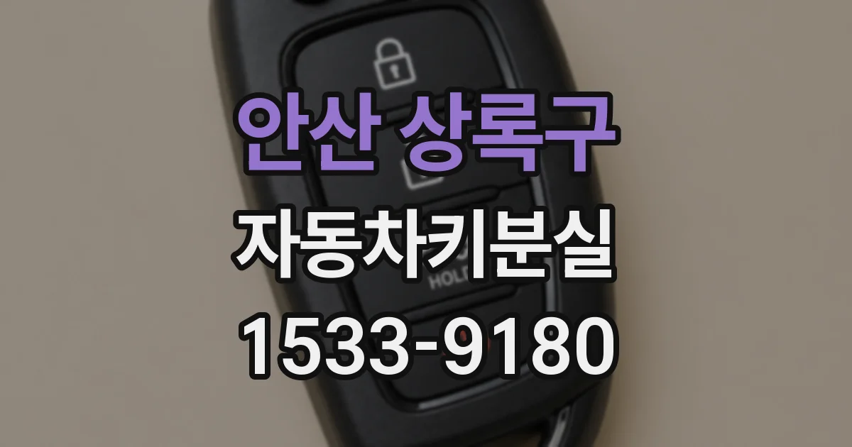 안산 상록구 자동차키분실