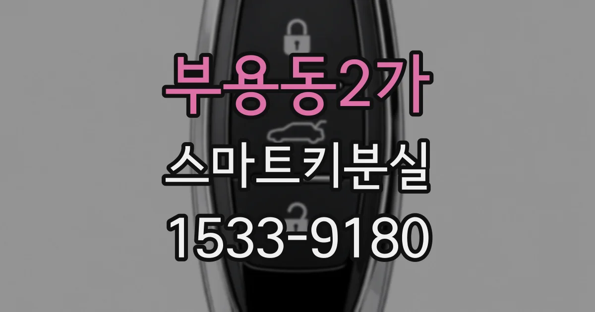 부용동2가 스마트키분실
