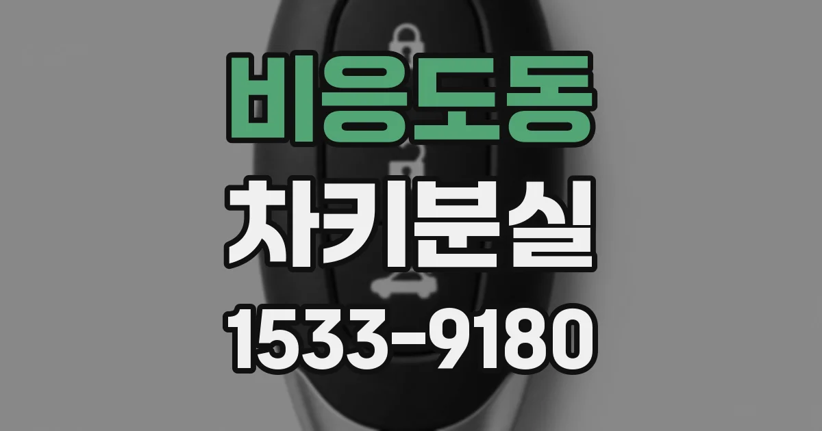 비응도동 차키분실
