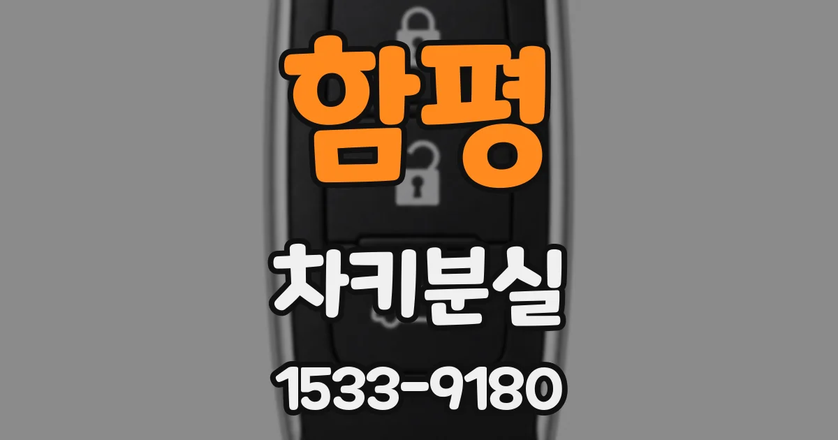 함평 차키분실