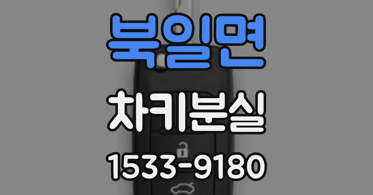 북일면 차키분실