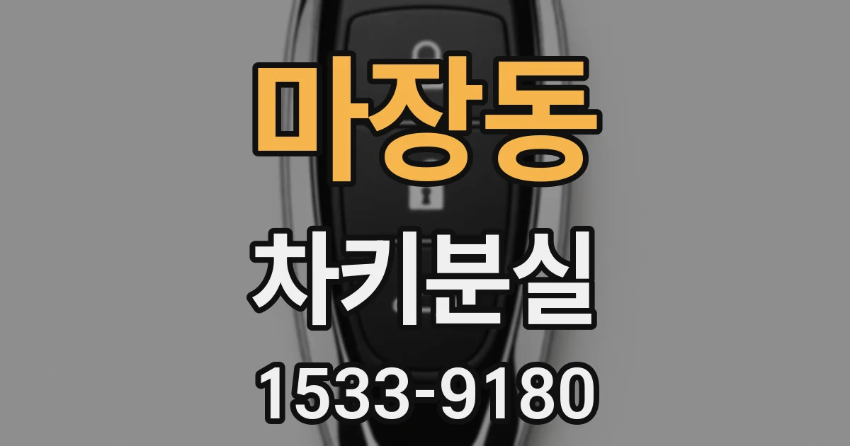 마장동 차키분실