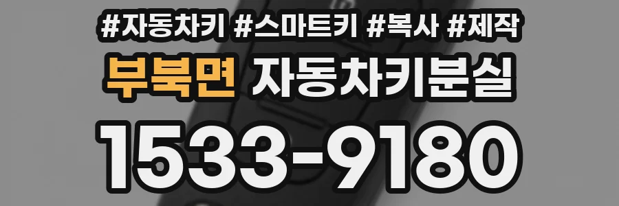 부북면 자동차키분실