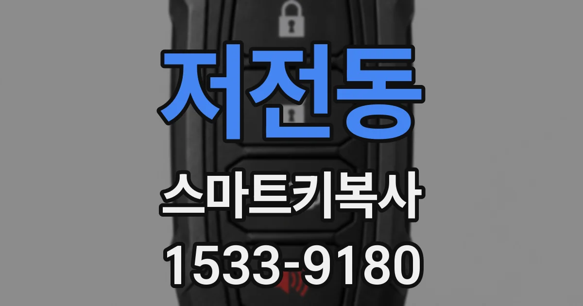 저전동 스마트키복사