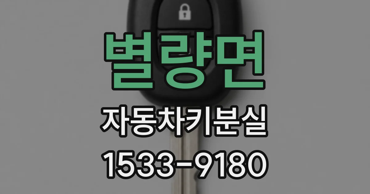 별량면 자동차키분실