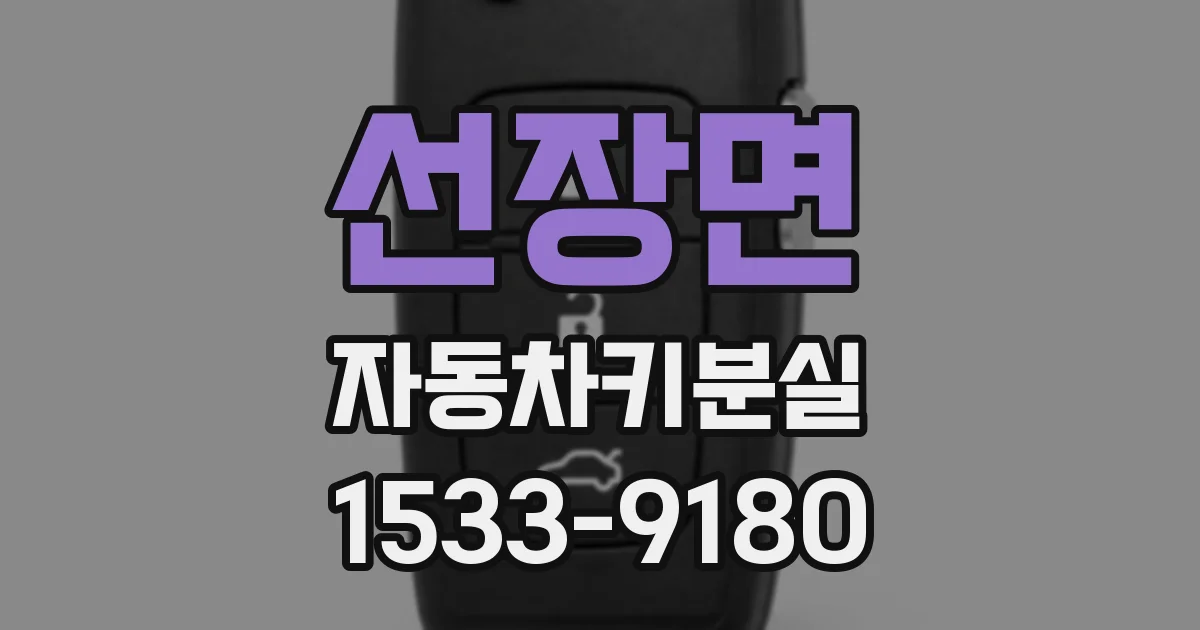 선장면 자동차키분실