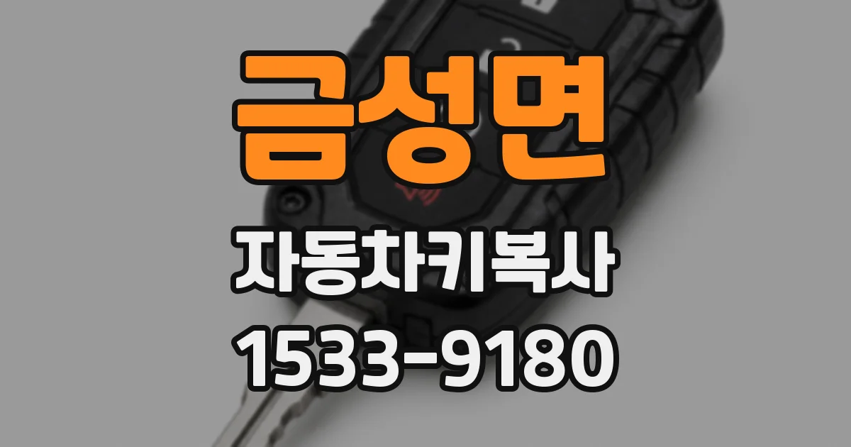 금성면 자동차키복사