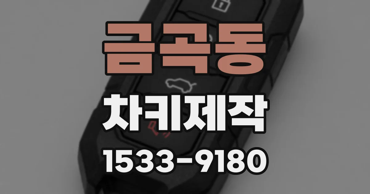금곡동 차키제작