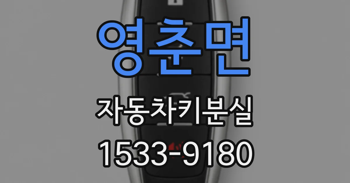 영춘면 자동차키분실