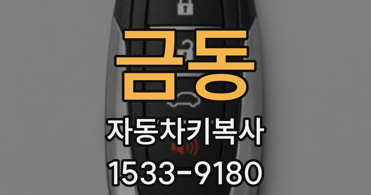 금동 자동차키복사