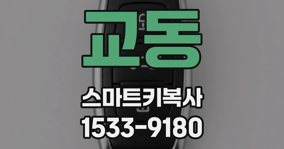 교동 스마트키복사