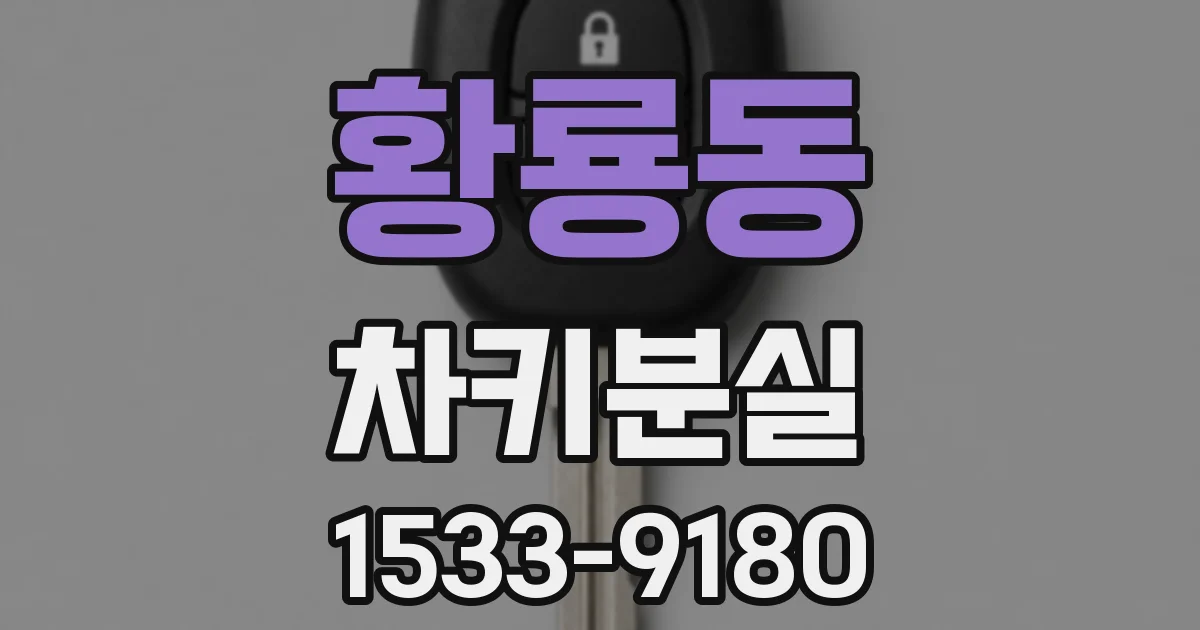 황룡동 차키분실