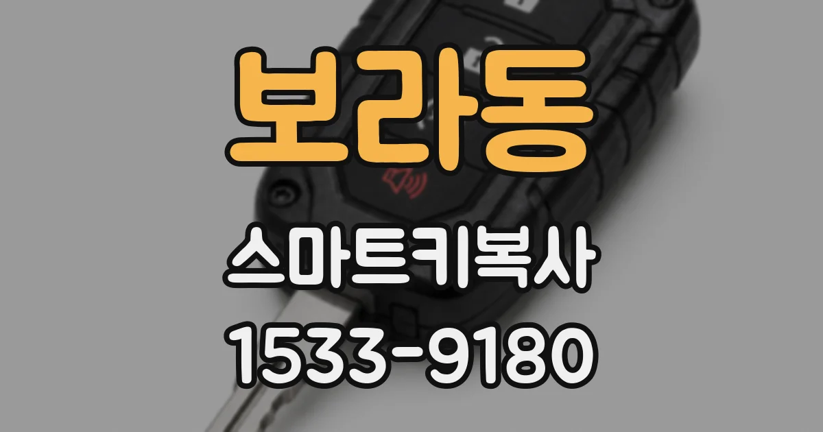 보라동 스마트키복사