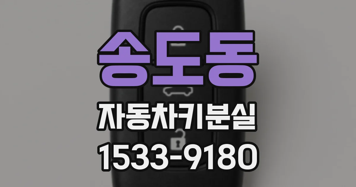 송도동 자동차키분실