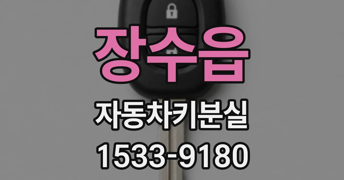 장수읍 자동차키분실