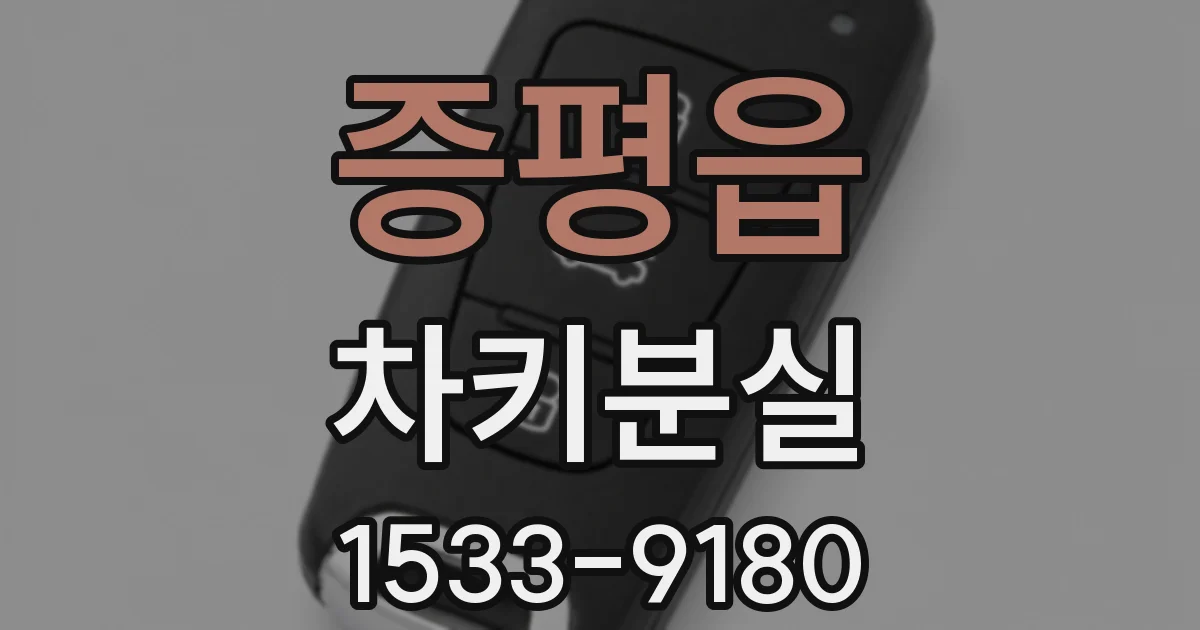 증평읍 차키분실