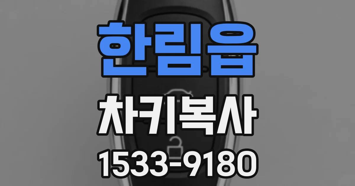 한림읍 차키복사