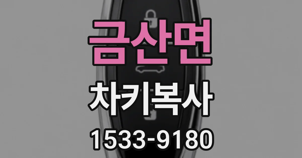 금산면 차키복사