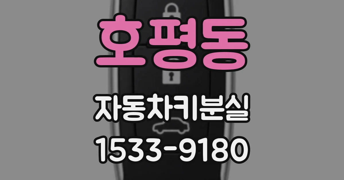 호평동 자동차키분실