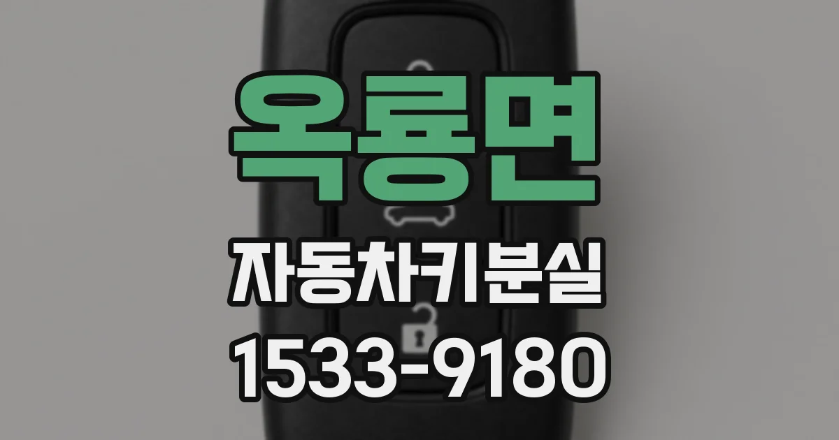 옥룡면 자동차키분실