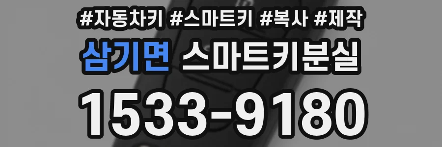 삼기면 스마트키분실