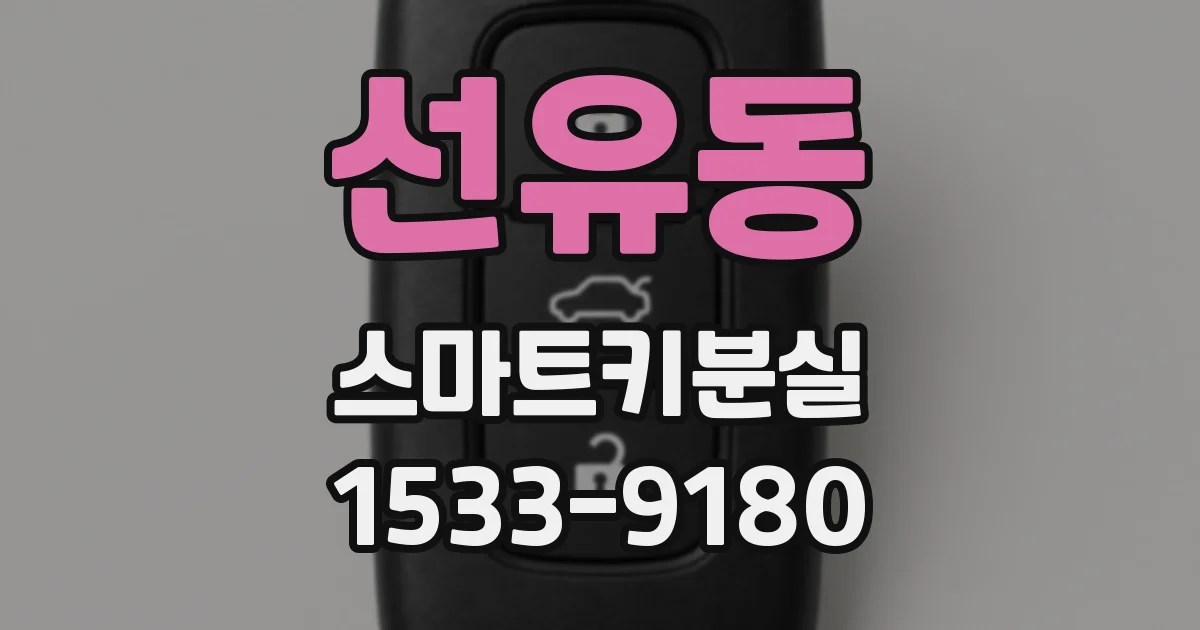 선유동 스마트키분실