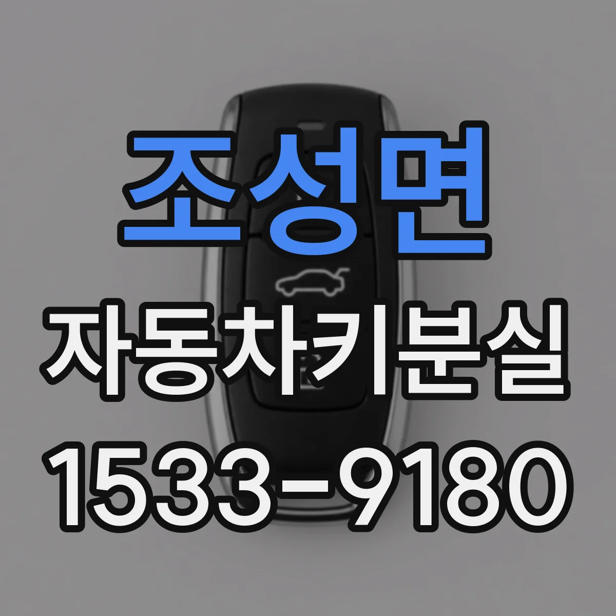 조성면 자동차키분실