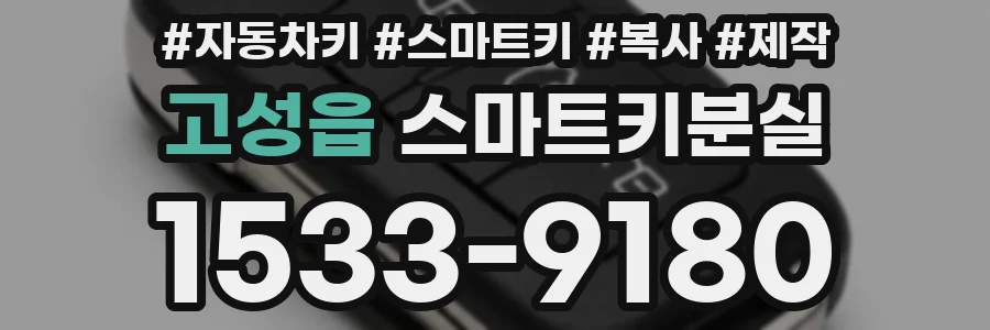 고성읍 스마트키분실