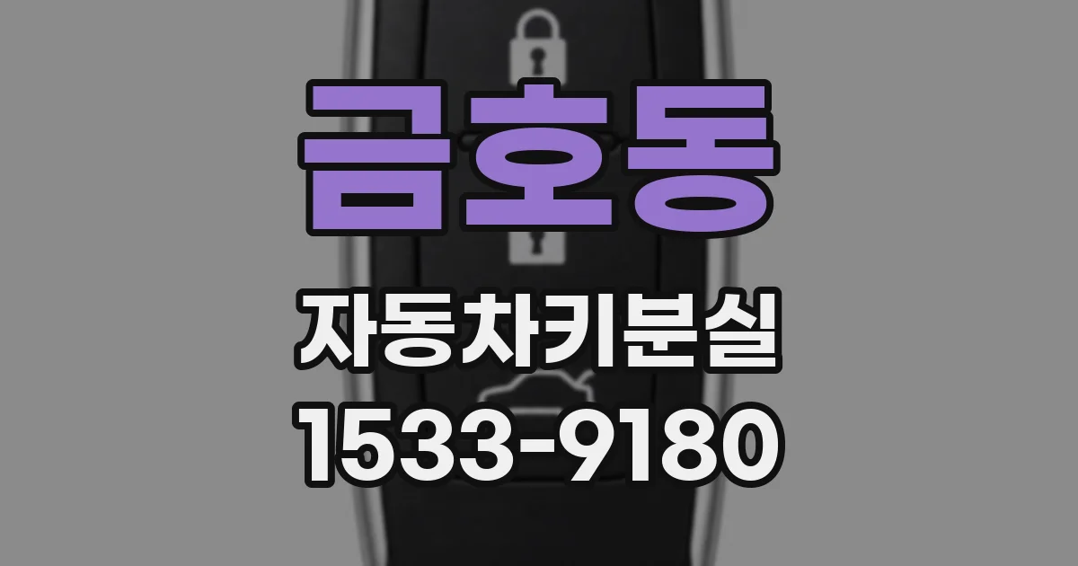 금호동 자동차키분실