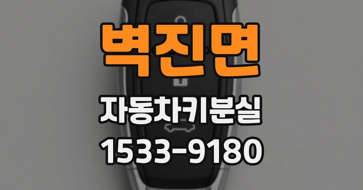 벽진면 자동차키분실