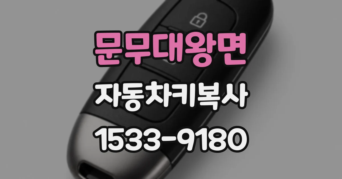 문무대왕면 자동차키복사