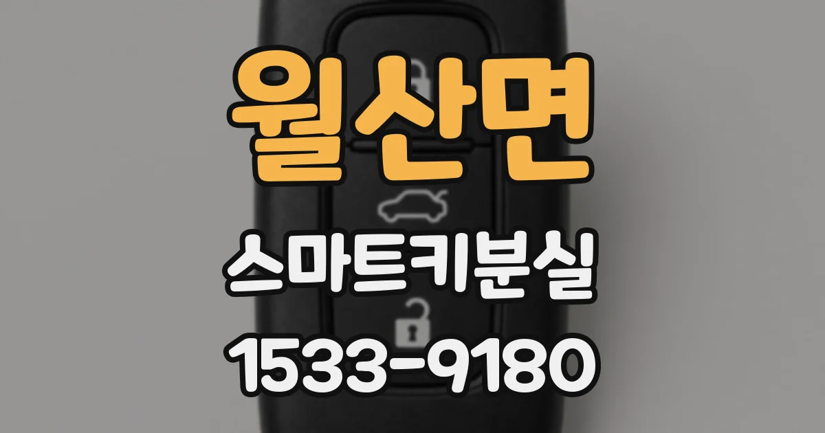 월산면 스마트키분실