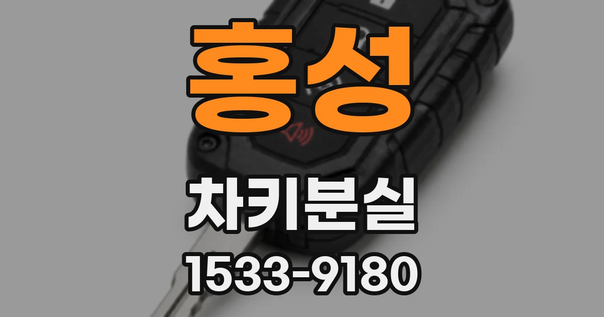 홍성 차키분실