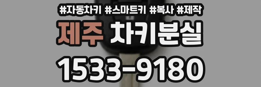제주 차키분실