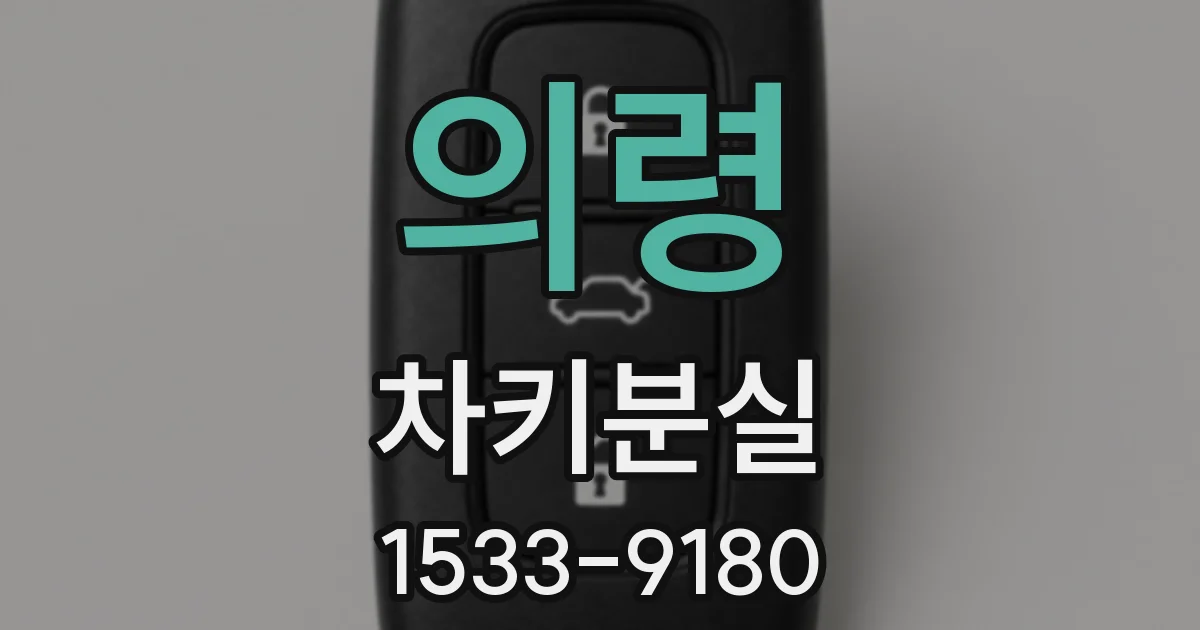 의령 차키분실