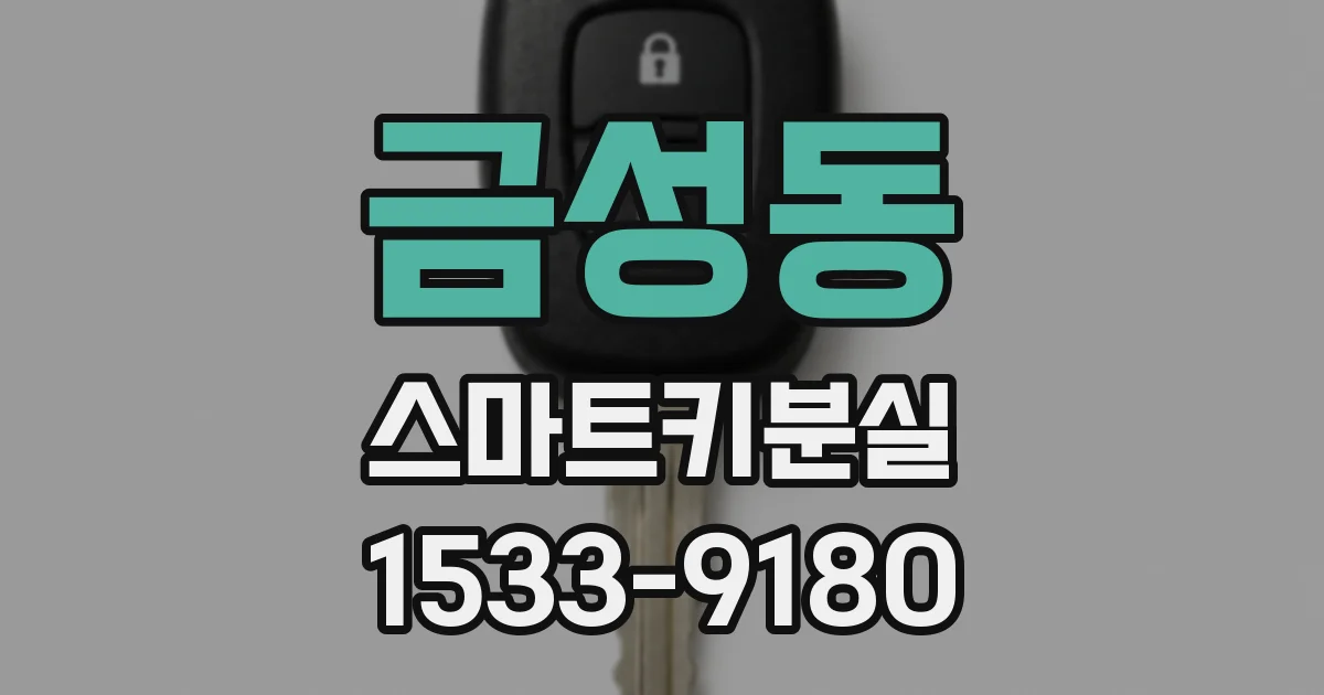 금성동 스마트키분실