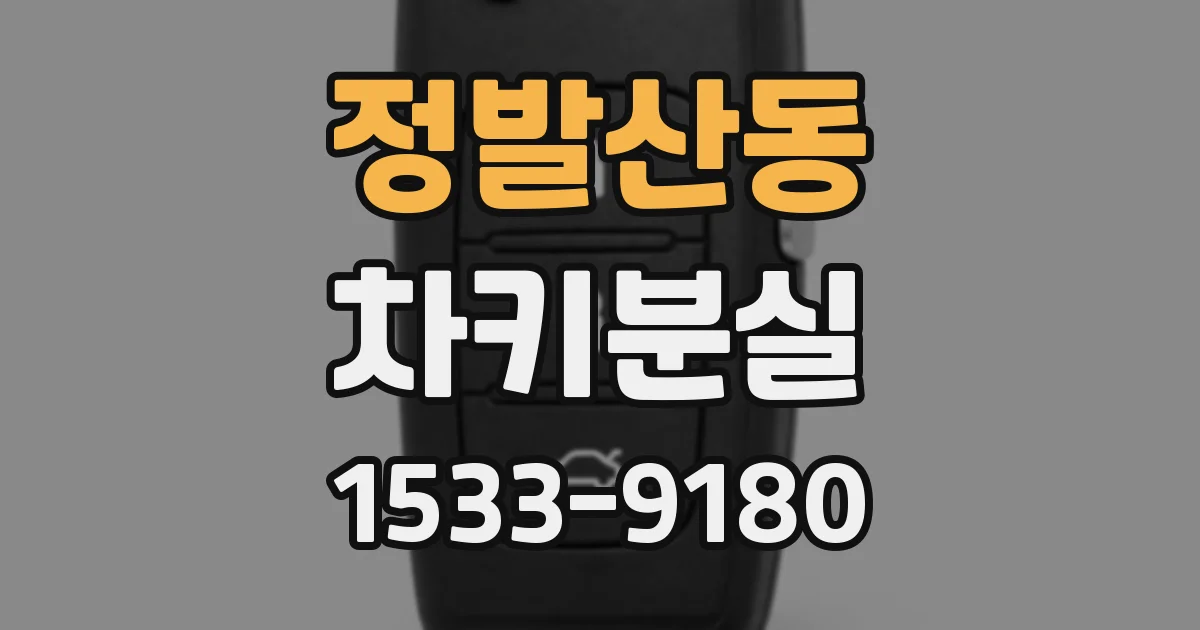 정발산동 차키분실