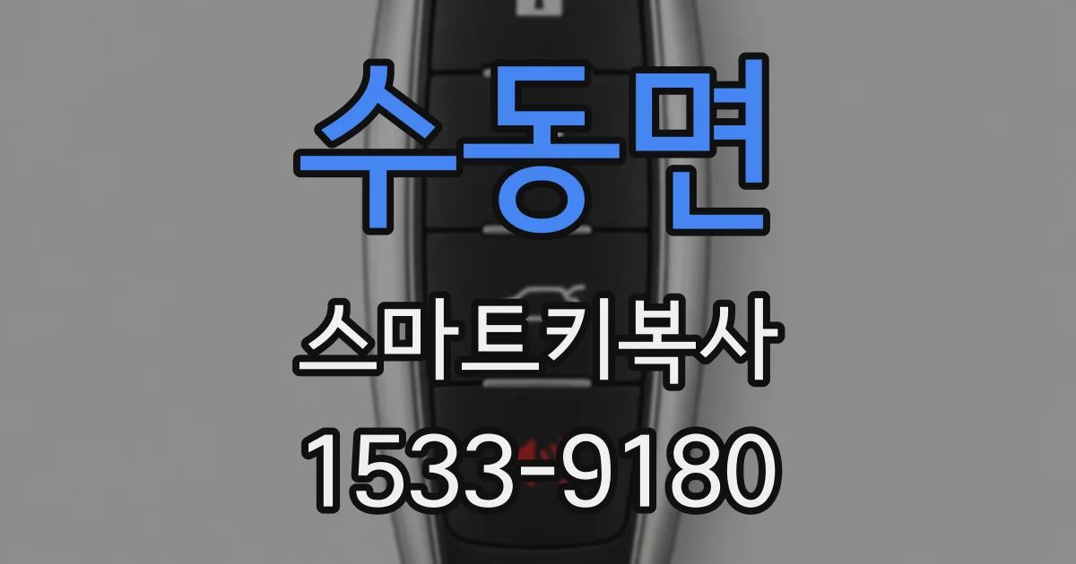 수동면 스마트키복사